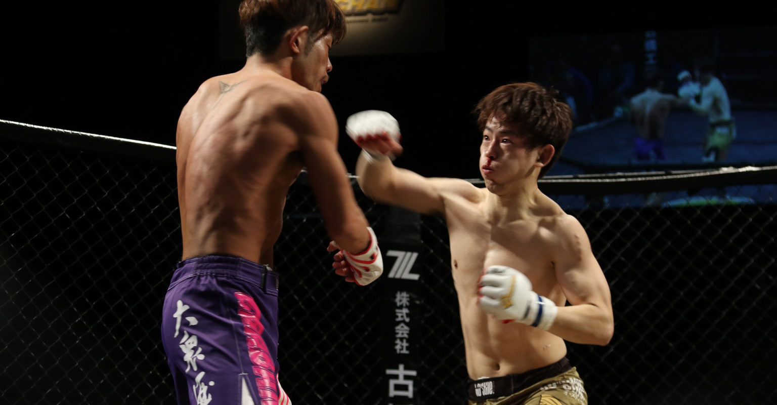 What Muscles Are Used When Punching? MMAsmart